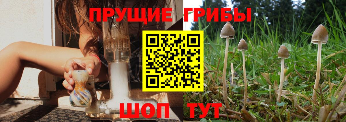 Псилоцибиновые грибы мухоморы  Вход с VPN  Новый Уренгой 